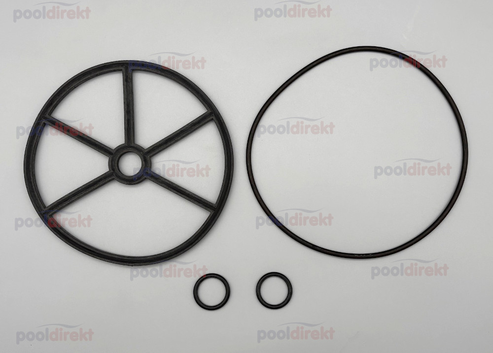 Dichtungssatz Astral 6-Wege Ventil 2"