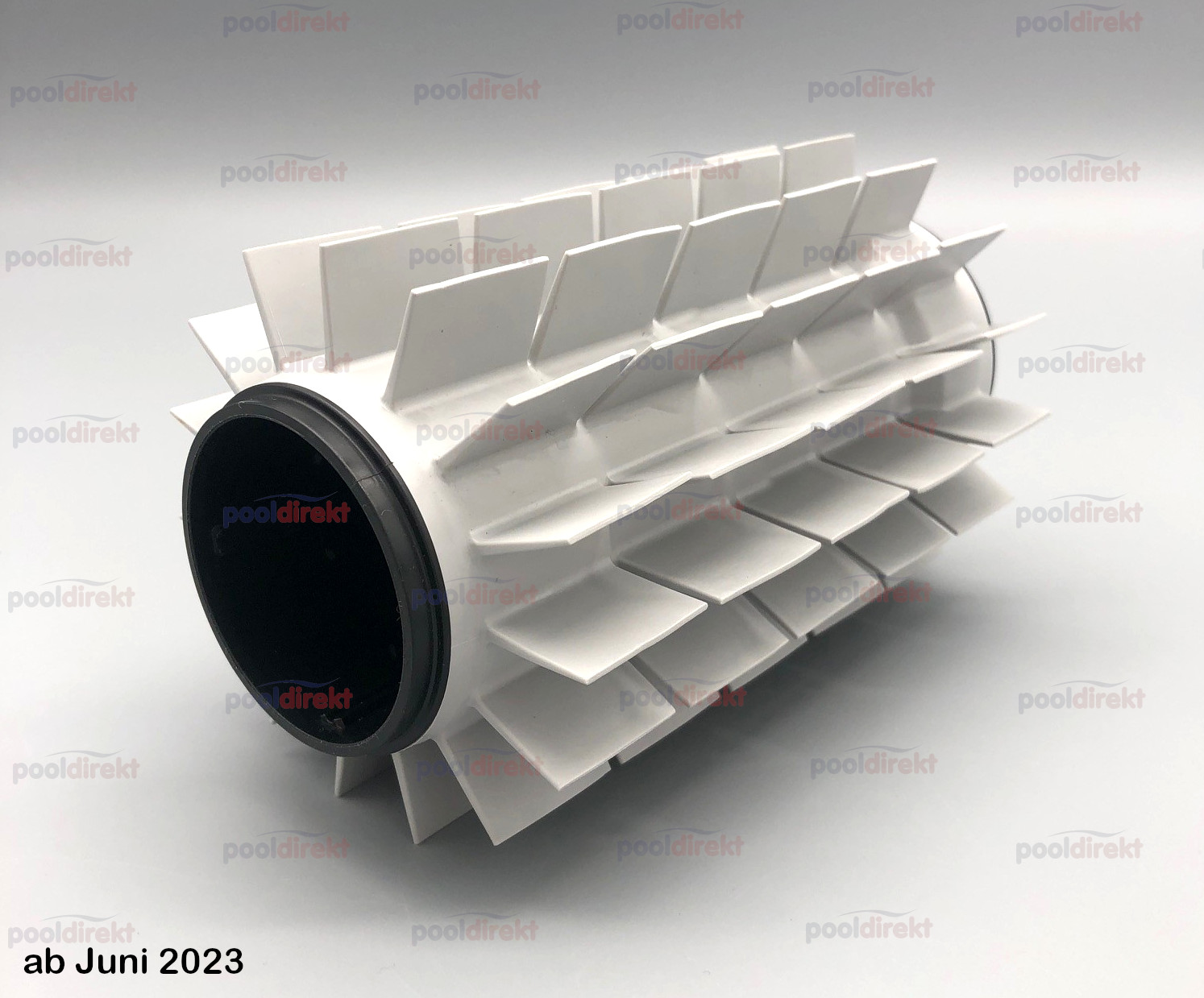 Dolphin Kunststoffbürste grau